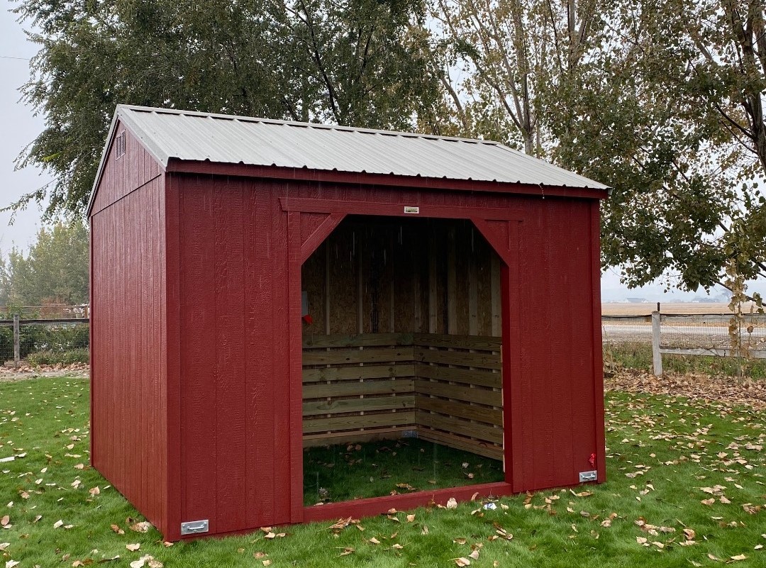 Animal Shelter 2