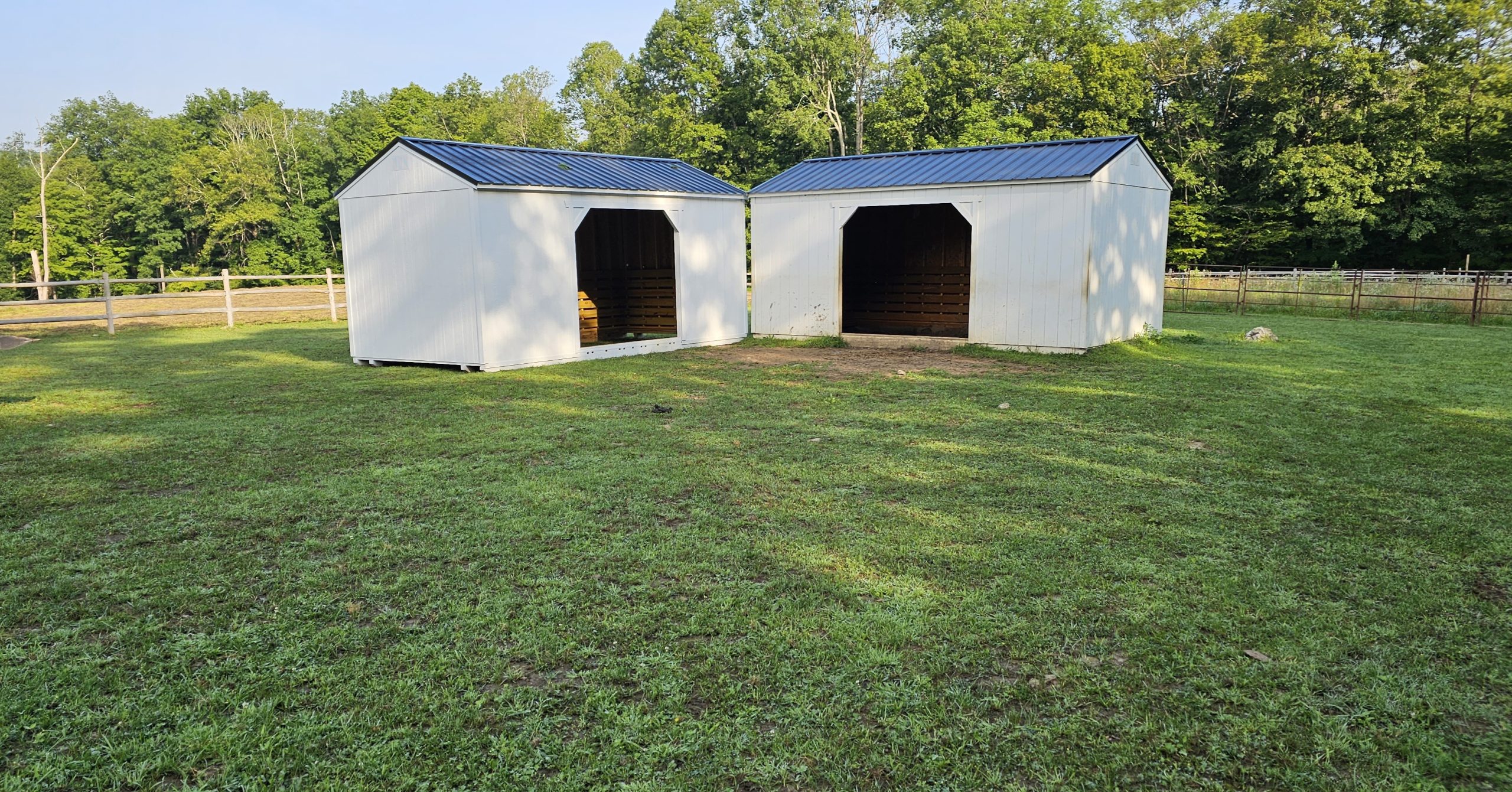 Animal Shelter 7