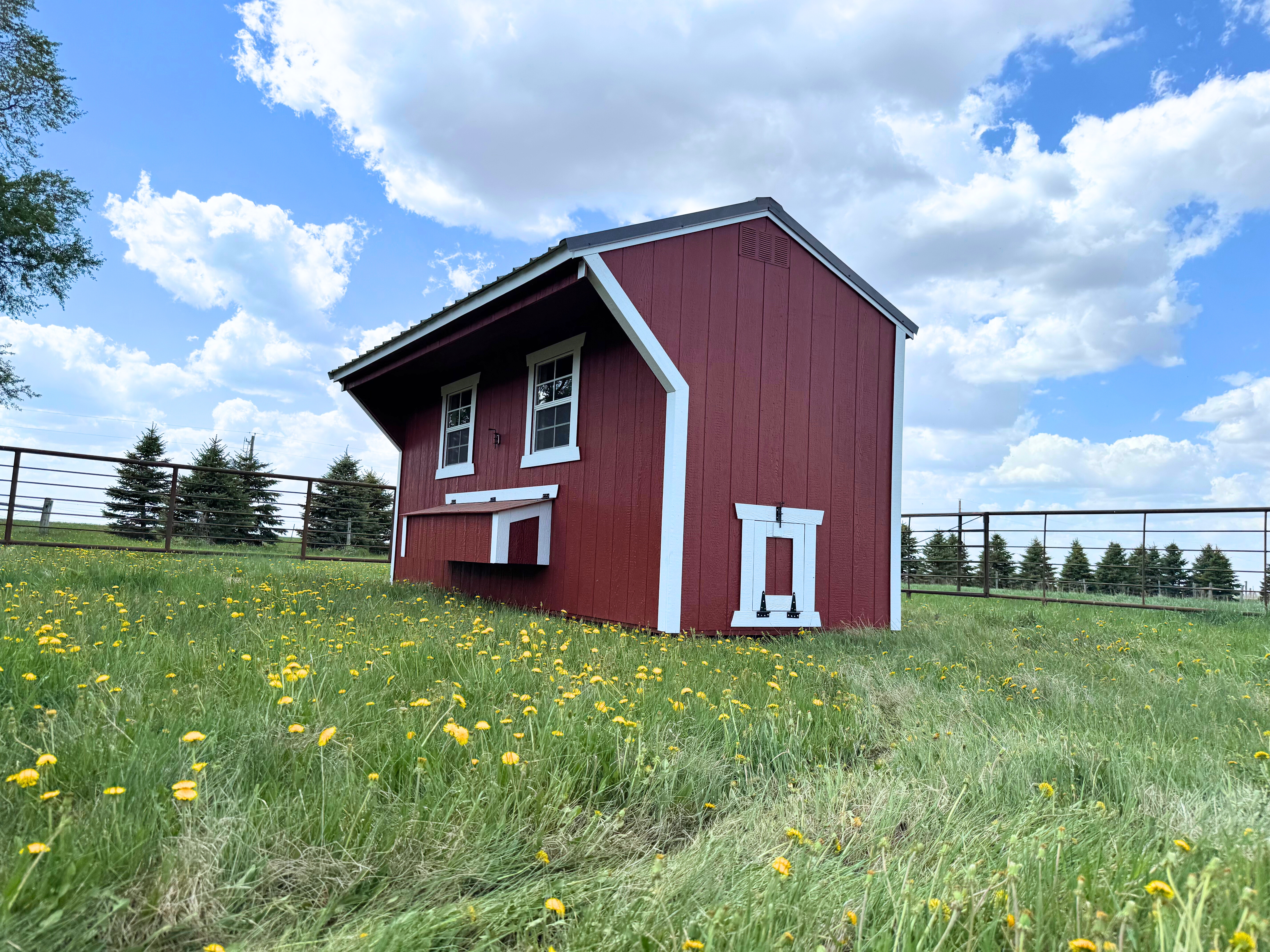 Chicken Coop 2