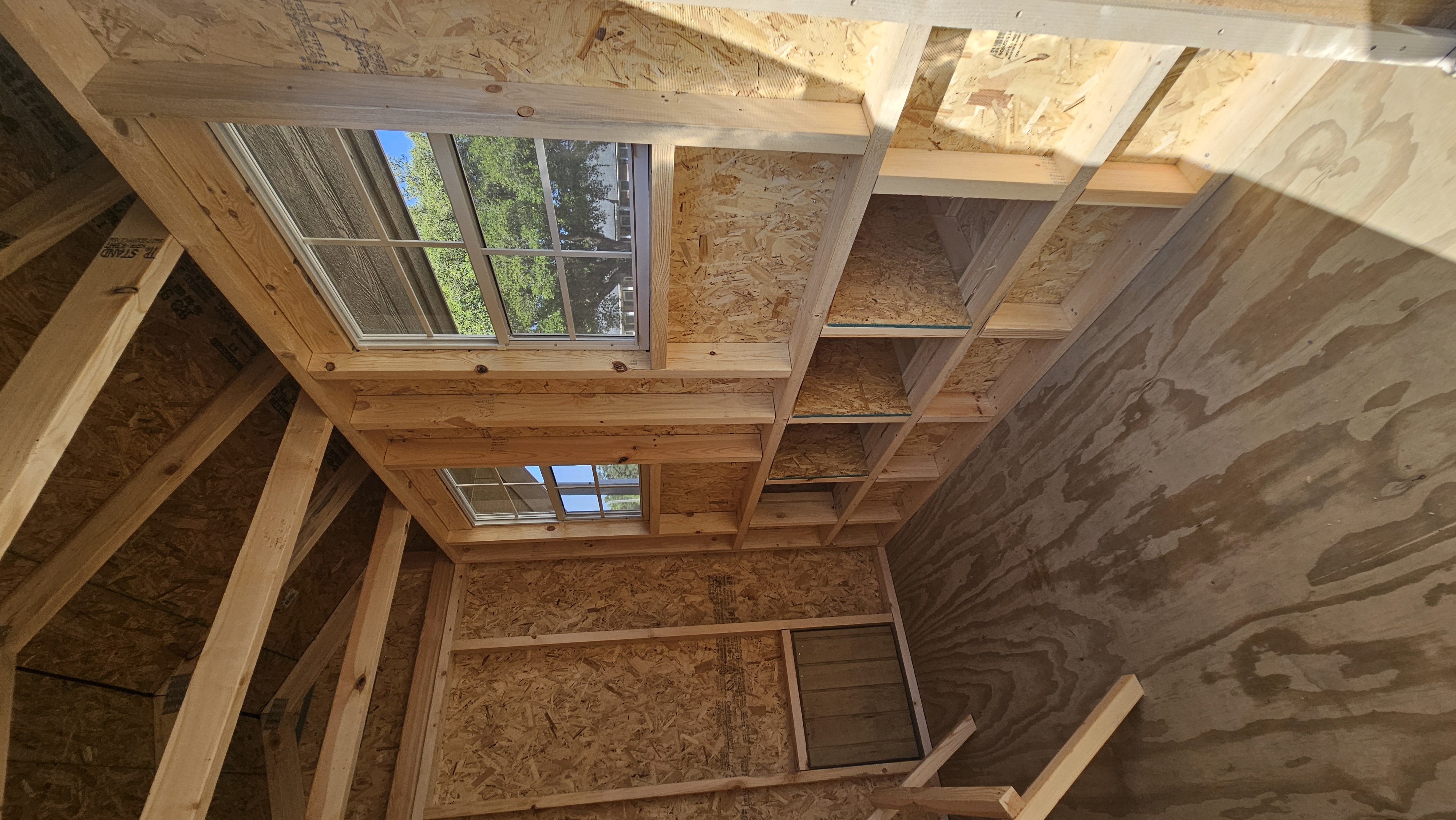Chicken Coop 9