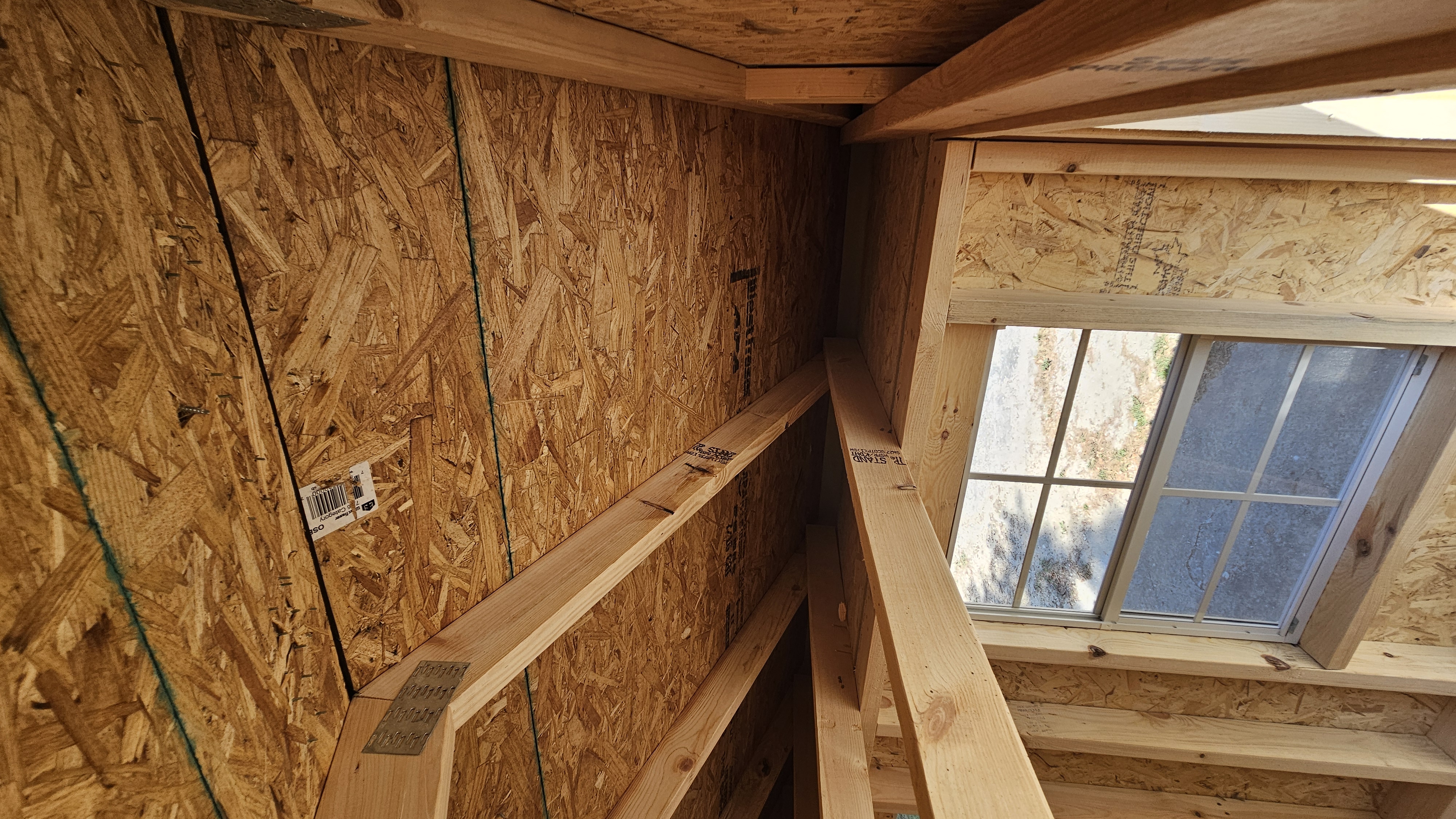 Chicken Coop 11
