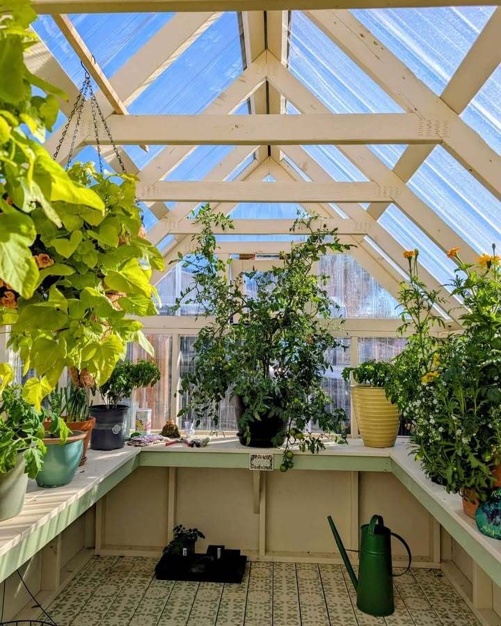 Greenhouse