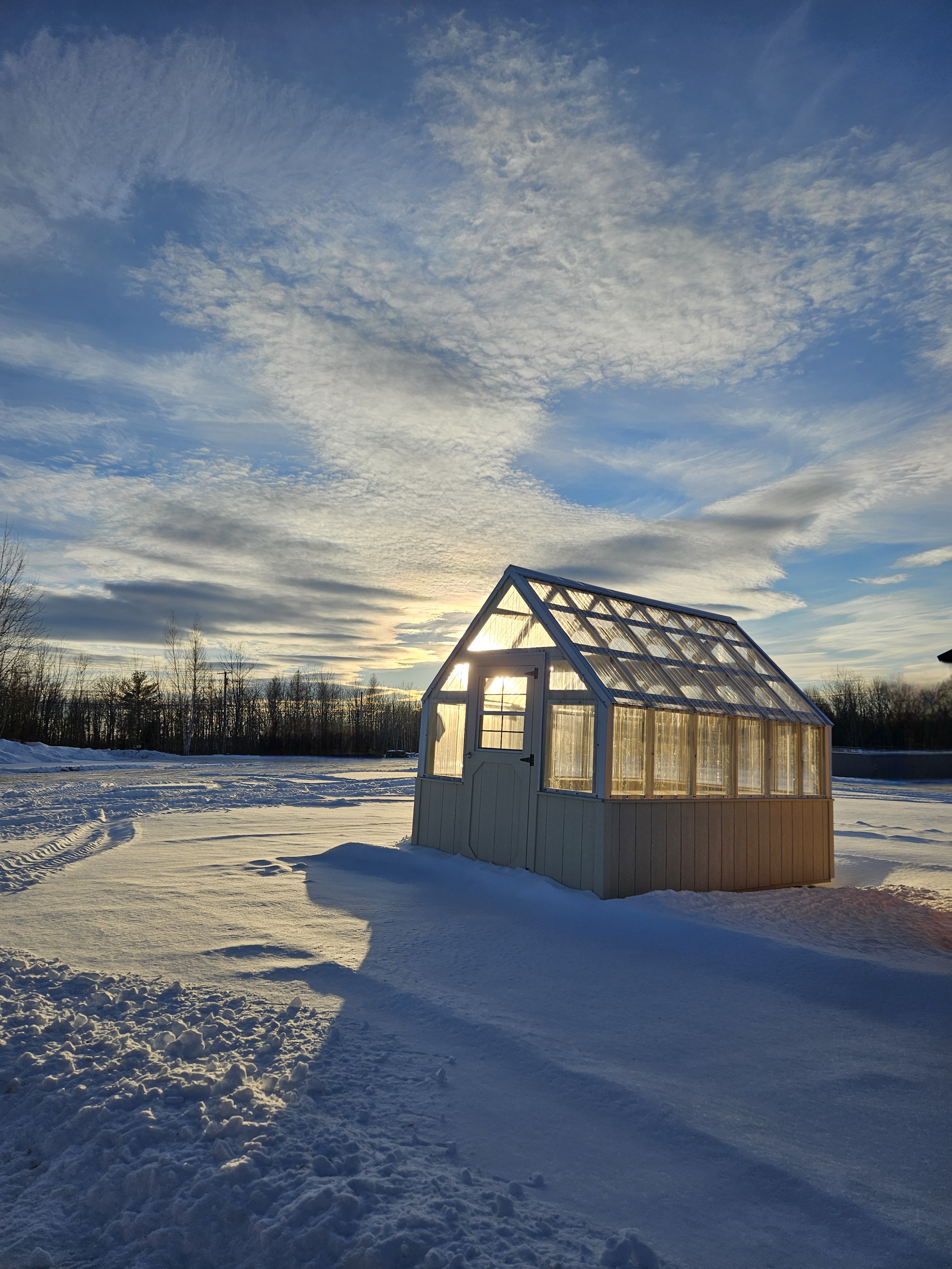 Greenhouse 4