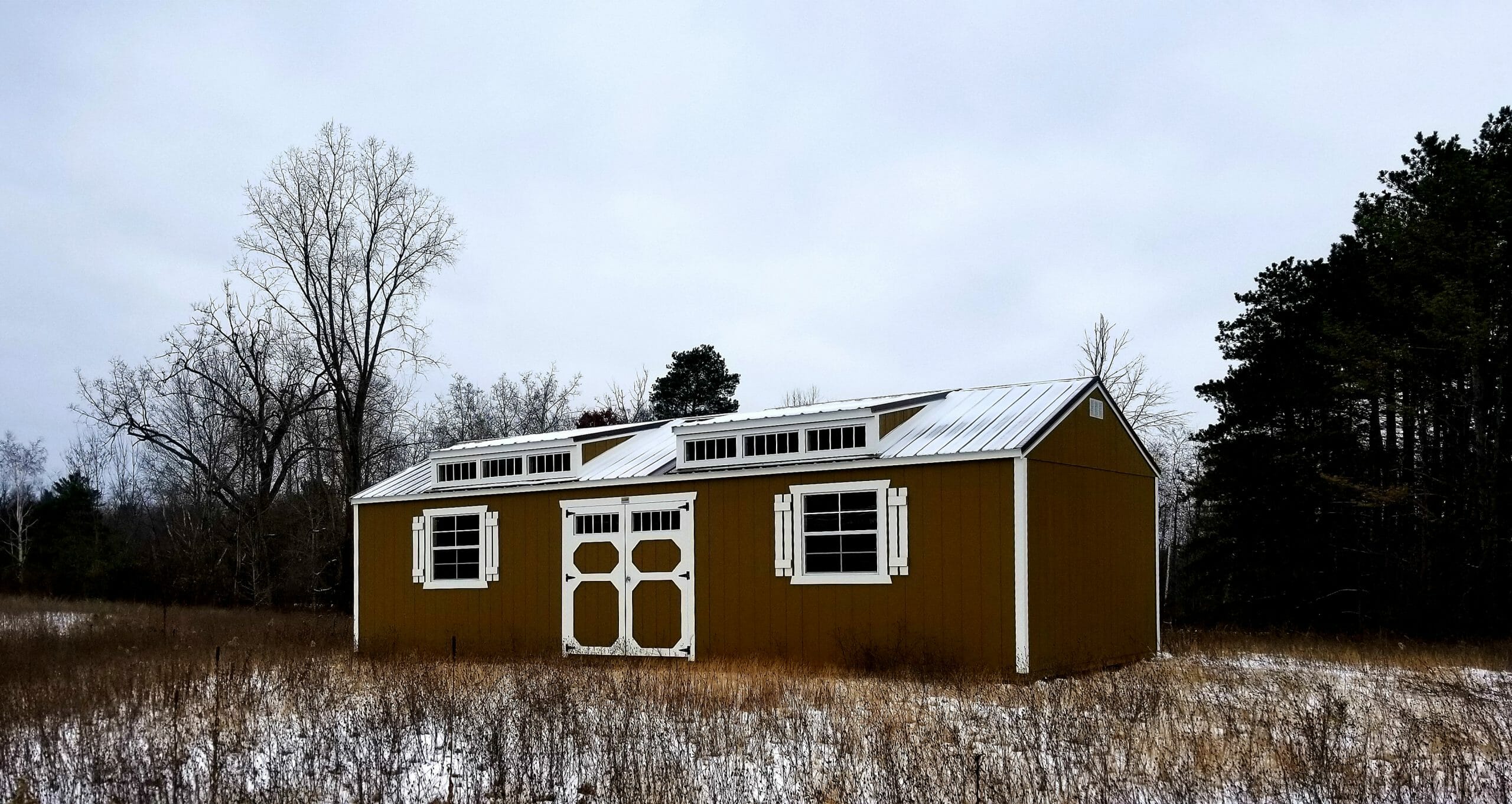 Shed Dormer 12
