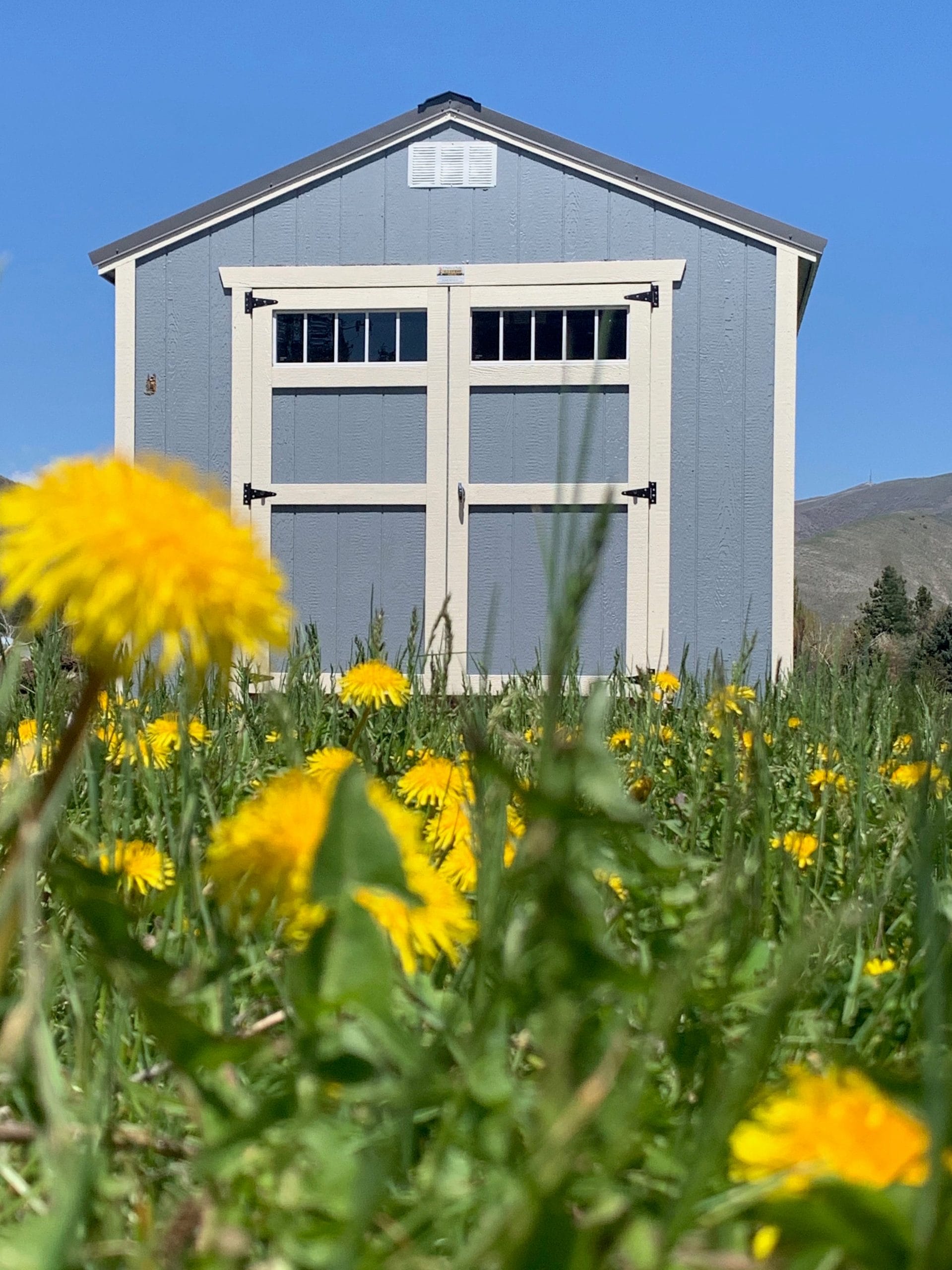 Standard Utility Shed
