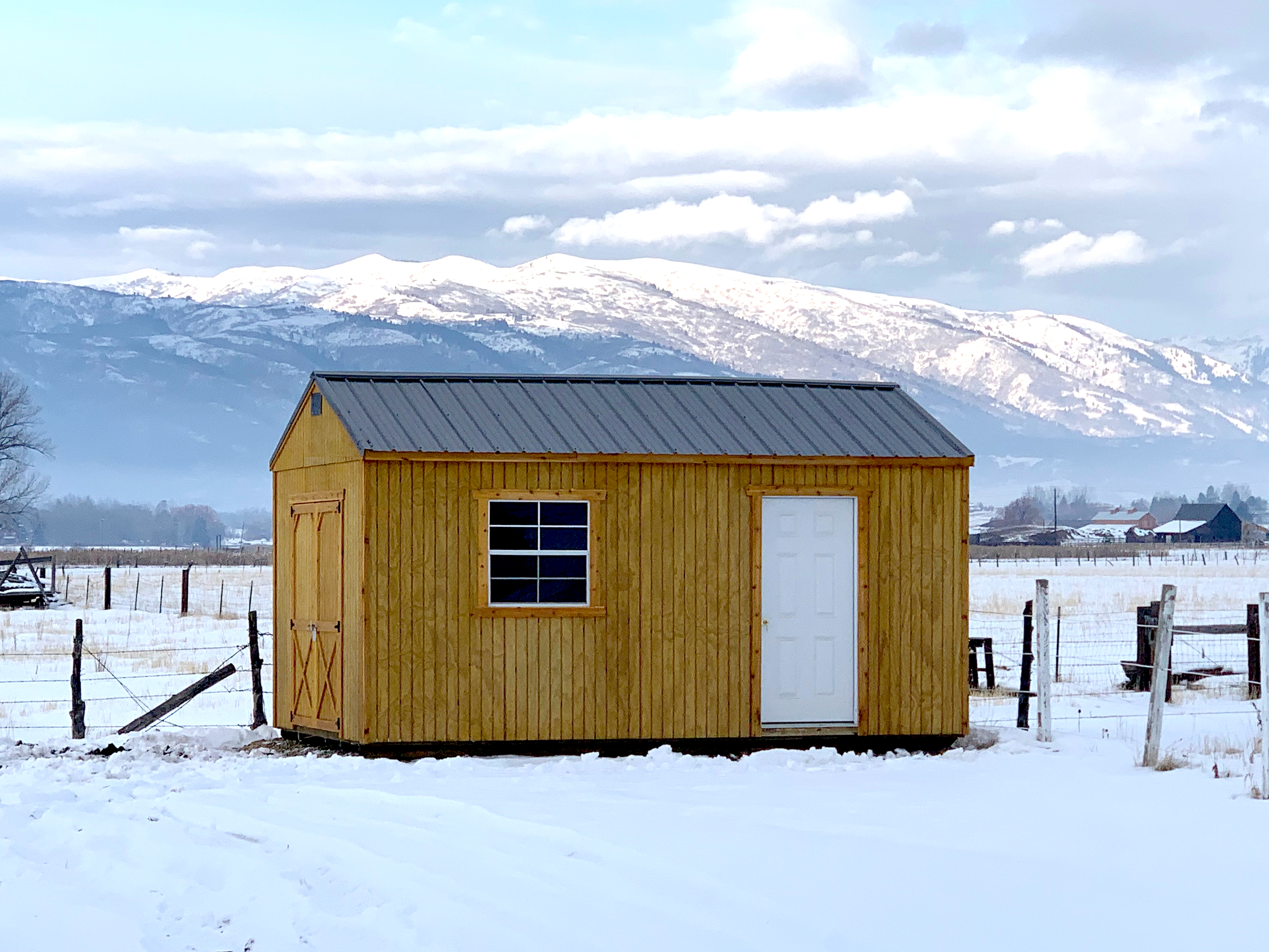 Tall Wall Utility Shed 5