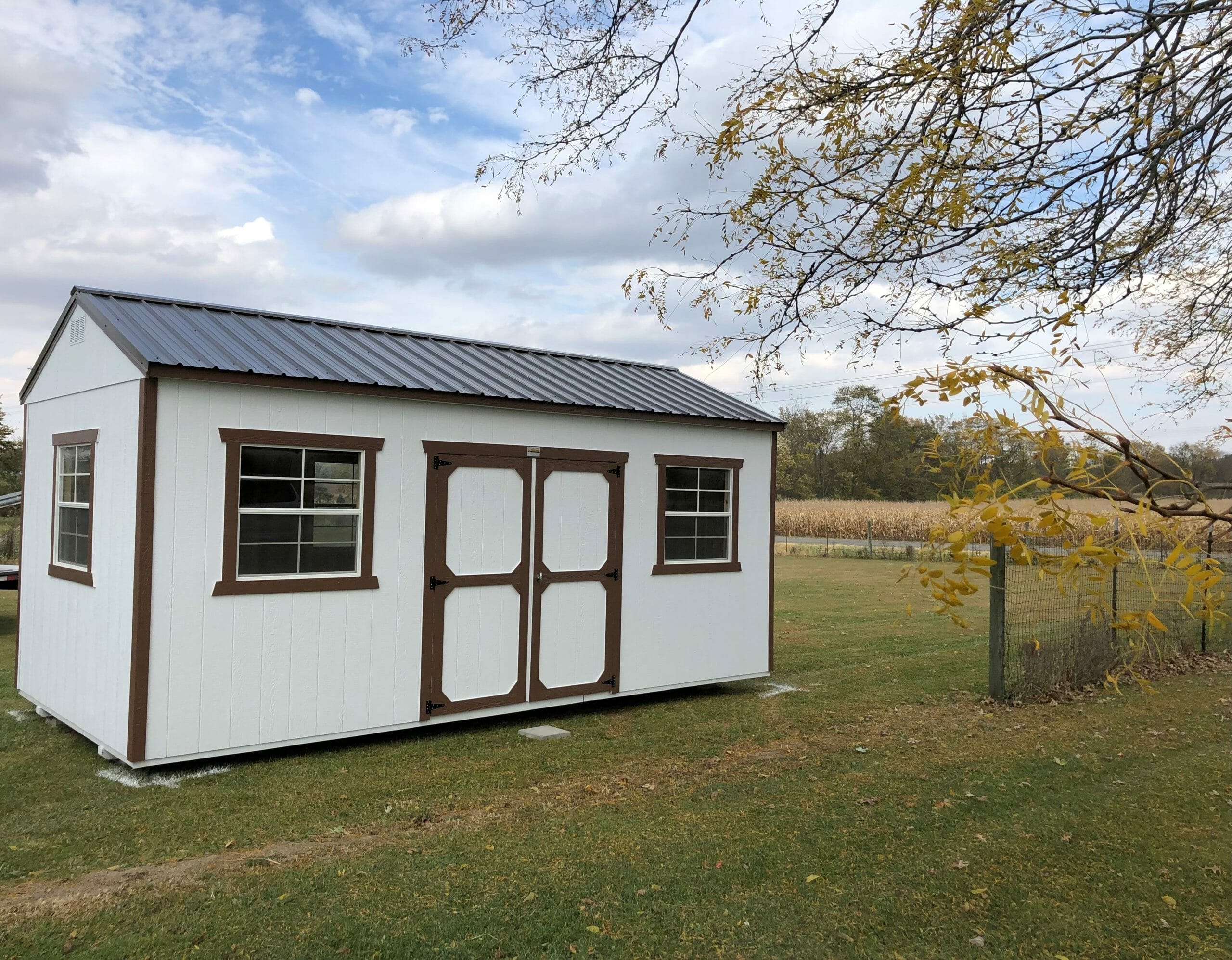 Tall Wall Utility Shed 6