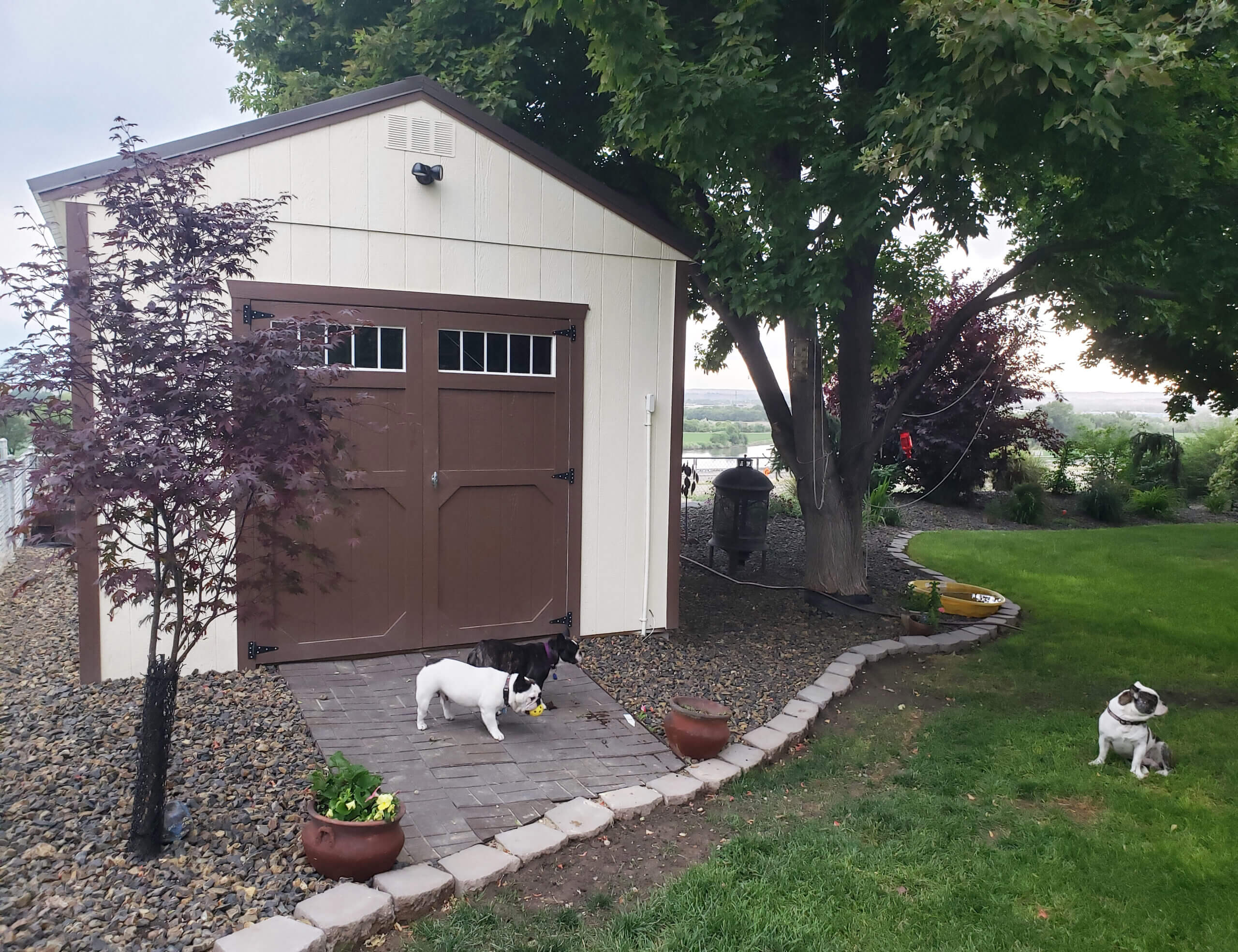 Tall Wall Utility Shed 8
